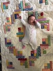 Josie's Log Cabin