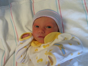 Amelia Amelia